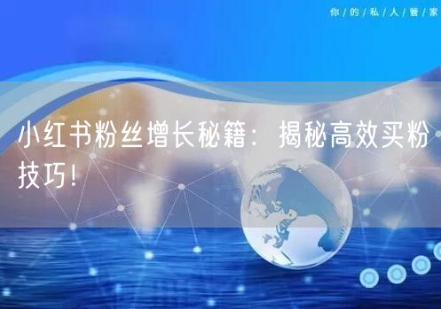 小红书粉丝增长秘籍：揭秘高效买粉技巧！