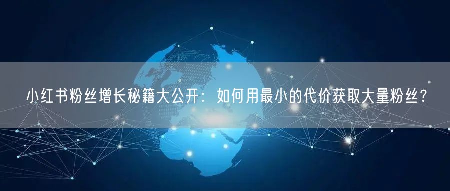 小红书粉丝增长秘籍大公开：如何用最小的代价获取大量粉丝？