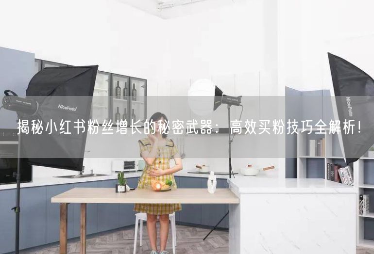 揭秘小红书粉丝增长的秘密武器：高效买粉技巧全解析！