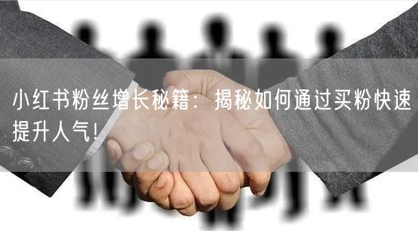 小红书粉丝增长秘籍：揭秘如何通过买粉快速提升人气！
