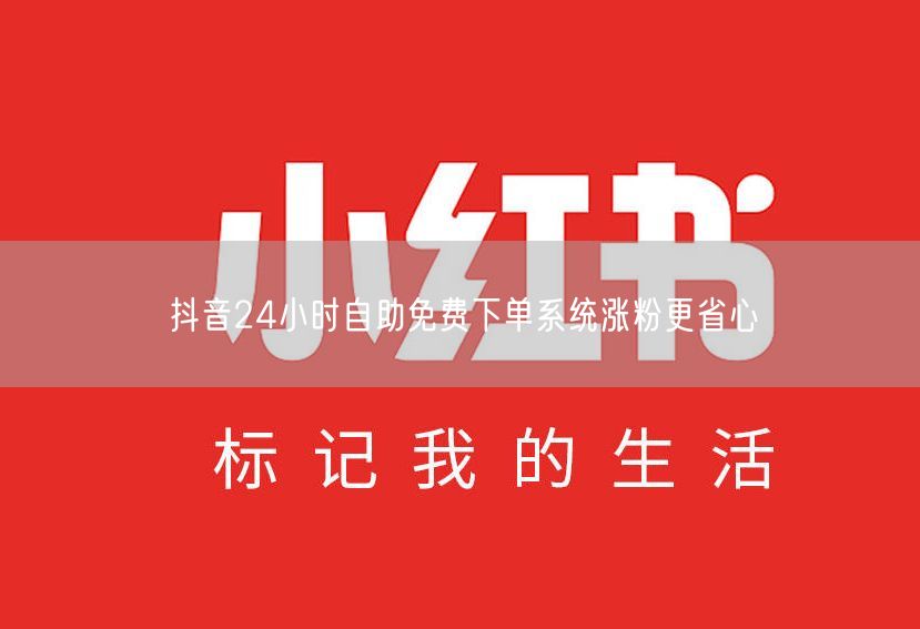 抖音24小时自助免费下单系统涨粉更省心